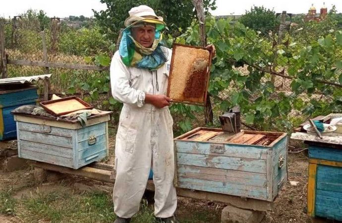 Пчелиное наследие: как подарок отцу определил судьбу сына на десятилетия