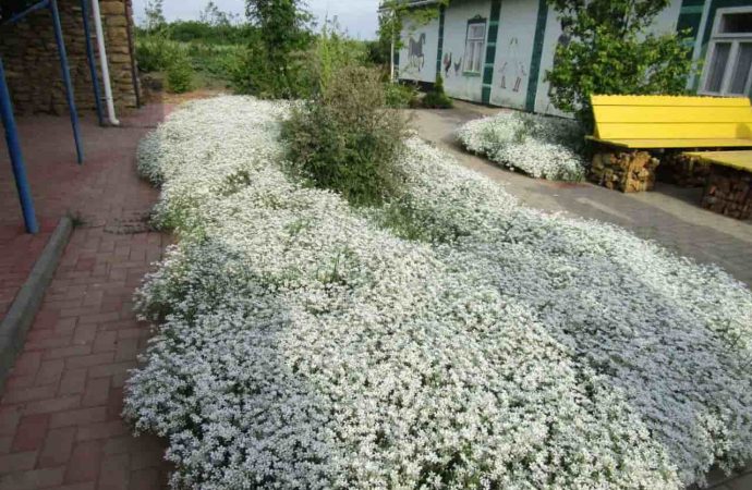 Відремонтоване подвір'я в селі СемисоткаСемисотка