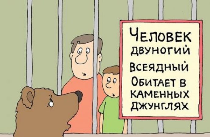 Анекдот дня: як Рабінович онуку в зоопарк водив