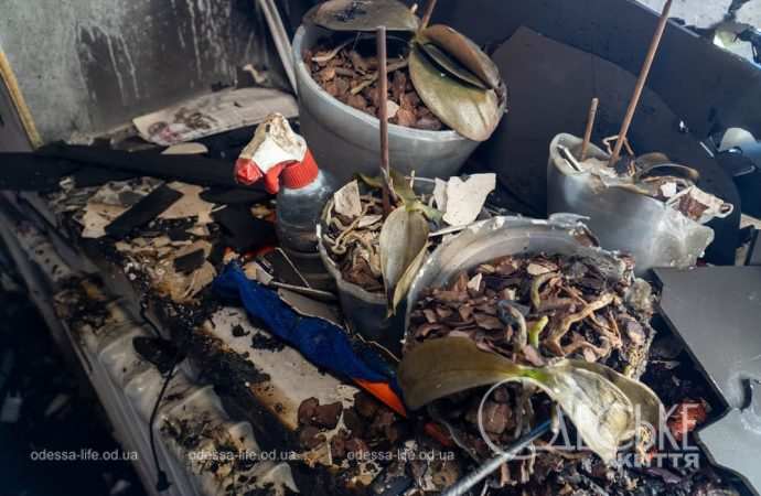 атака на Черноморск 8 октября