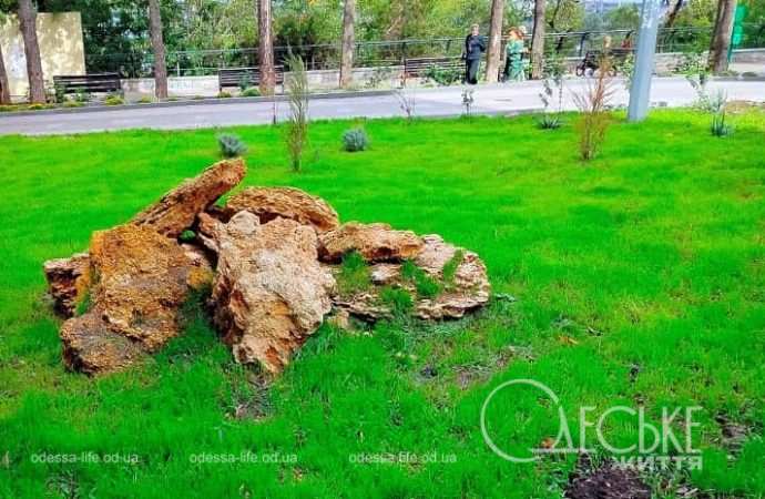 Октябрь в Одессе, газон