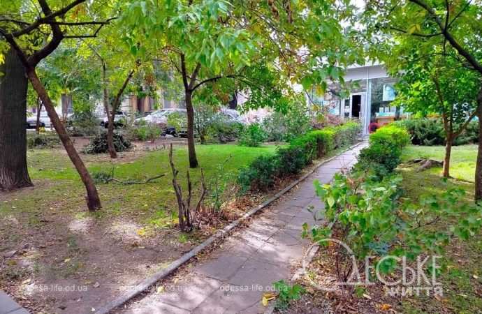 Октябрь в Одессе, аллея