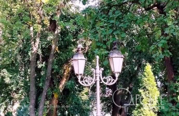 Октябрь в Одессе, фонарь