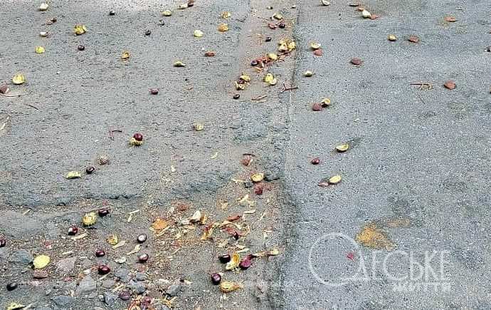 Октябрь в Одессе, на асфальте