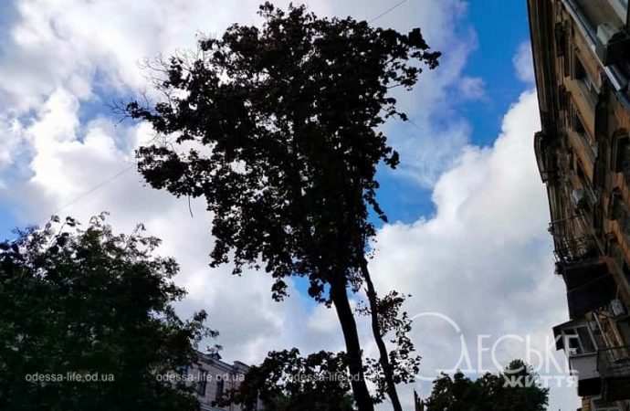 Октябрь в Одессе, осенний ветер