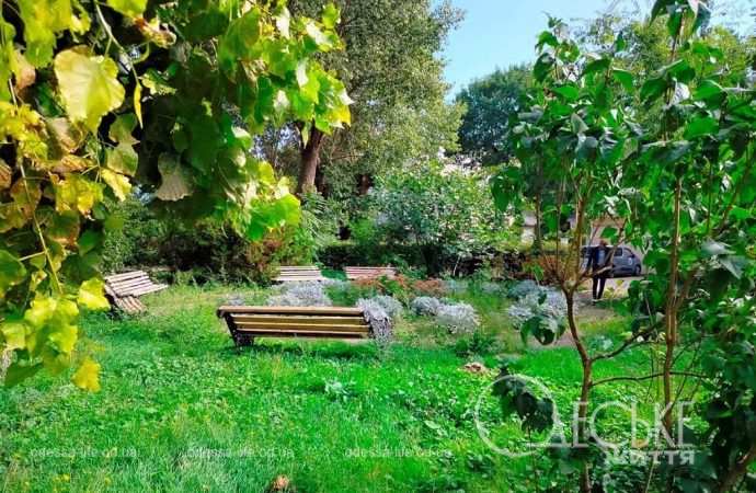 Октябрь в Одессе, скамейка в парке