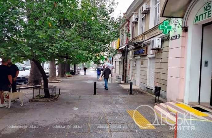 Одесская улица в октябре