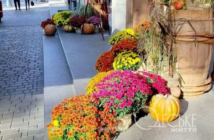 Одесса: скоро Хэллоуин