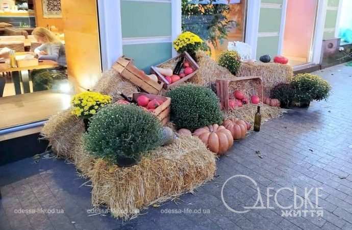 Одесса, тыквенная композиция
