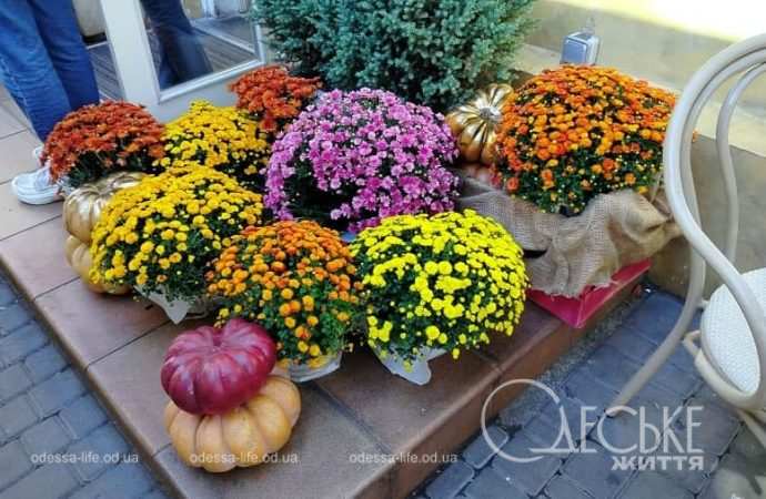 Осень в Одессе