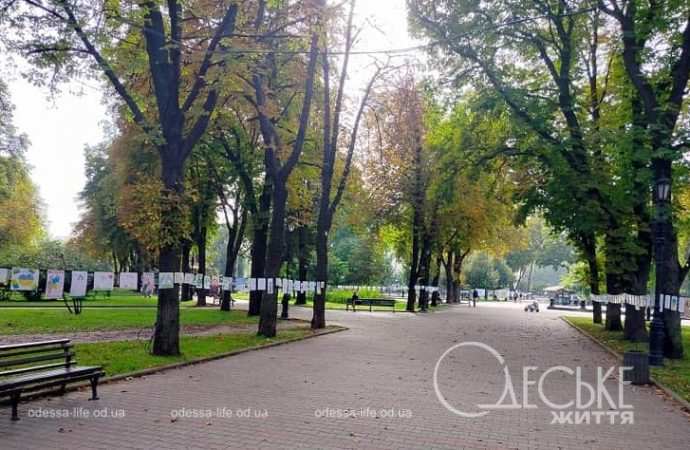 Выставка детских рисунков на Соборной площади-10