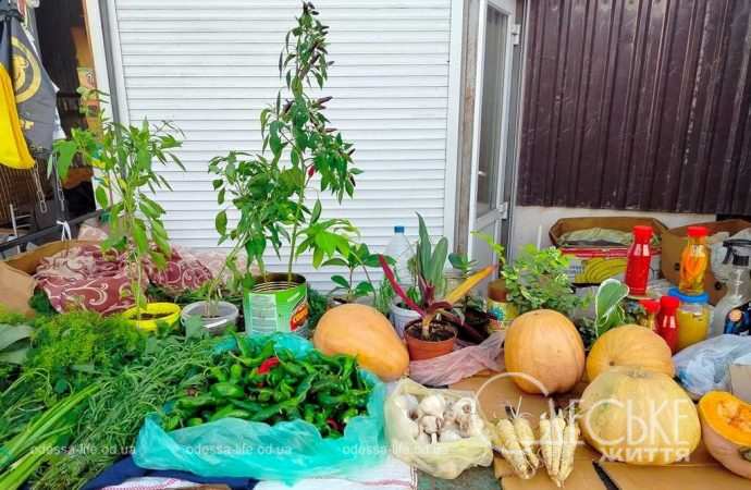 одеські вулиці