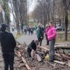 В Одесі дерево впало, придавило та сильно травмувало жінку