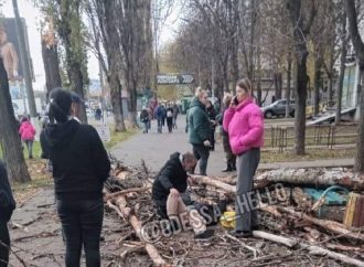 В Одесі дерево впало, придавило та сильно травмувало жінку