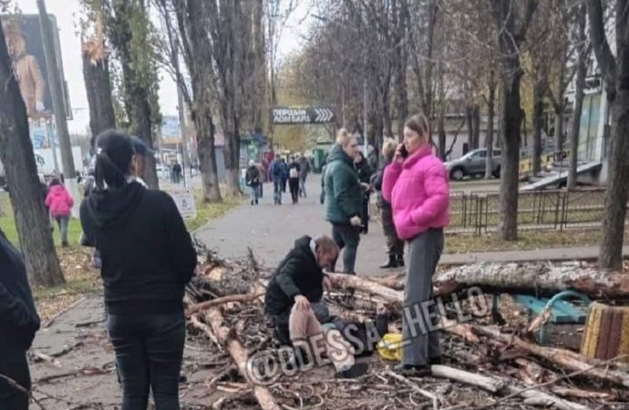 В Одессе упавшее дерево придавило и сильно травмировало женщину