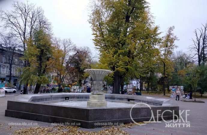 Одеські водограї – на відпочинку до весни (фоторепортаж)