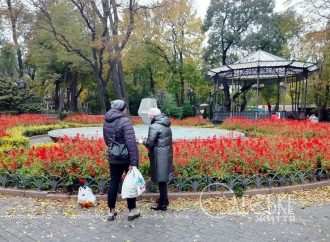 Погода в Одессе 17 ноября: брать ли зонтики на воскресную прогулку