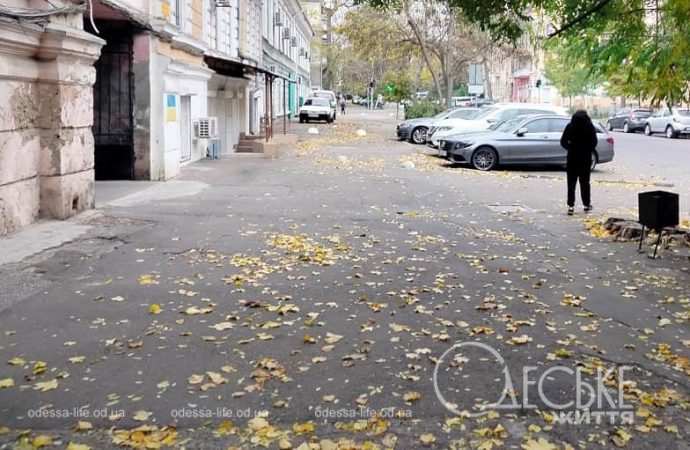 Ноябрь в Одессе, листья на асфальте