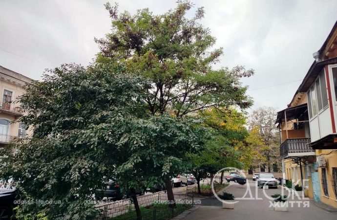 Ноябрь в Одессе