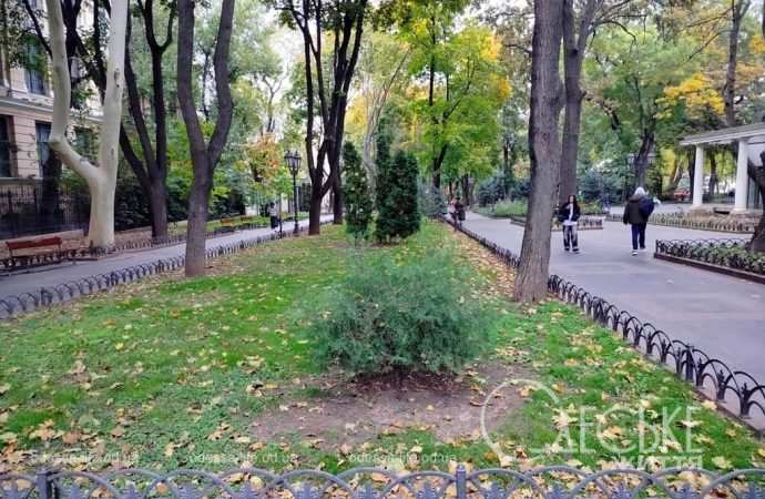 Ноябрь в Одессе, бульвар