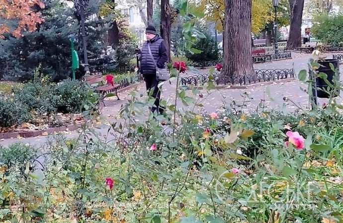 Ноябрь в Одессе, прогулка