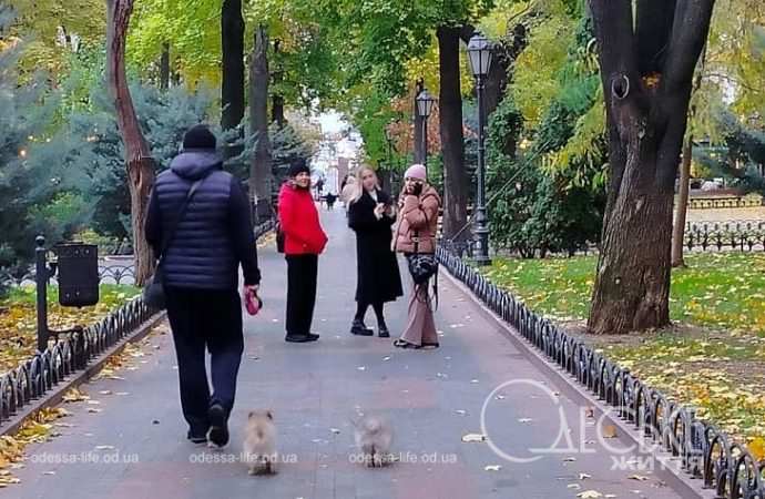 Ноябрь в Одессе, на аллее