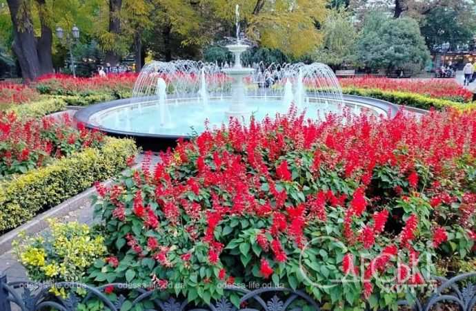 Ноябрь в Одессе, Горсад