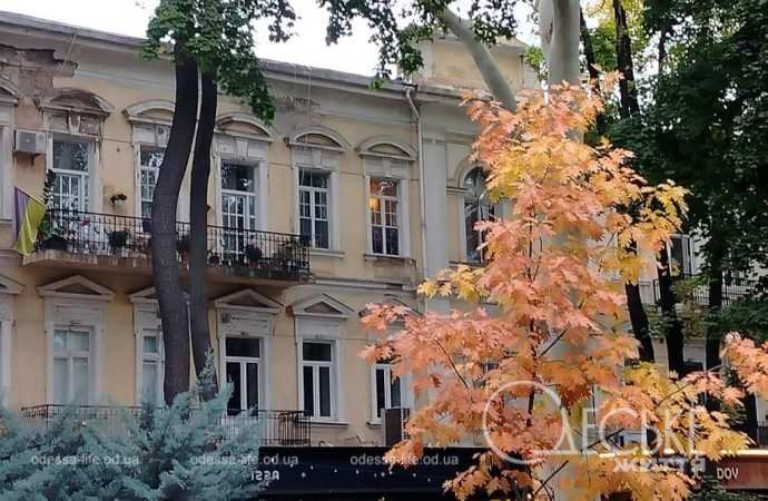 Ноябрь в Одессе