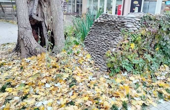 Ноябрь в Одессе, под деревом