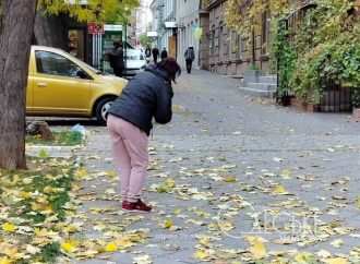 Время собирать листья: как начался ноябрь в Одессе (фоторепортаж)