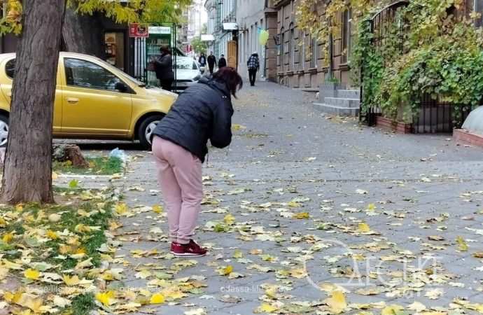 Время собирать листья: как начался ноябрь в Одессе (фоторепортаж)