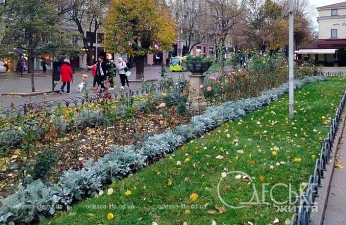 Ноябрь в Одессе, Горсад