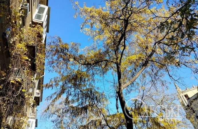 Ноябрь в Одессе, голубое небо