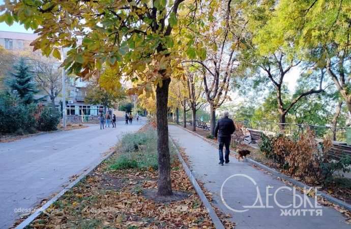 Ноябрь в Одессе, прогулка с собакой