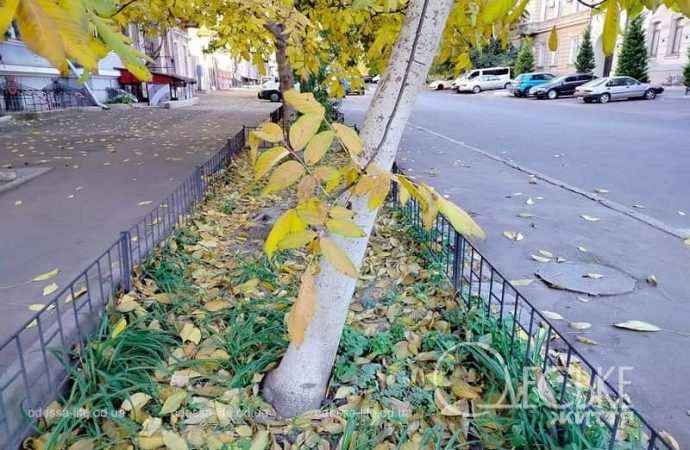 Ноябрь в Одессе, на бульваре