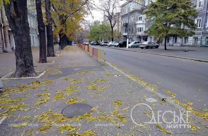 Ноябрь в Одессе, осенняя улица