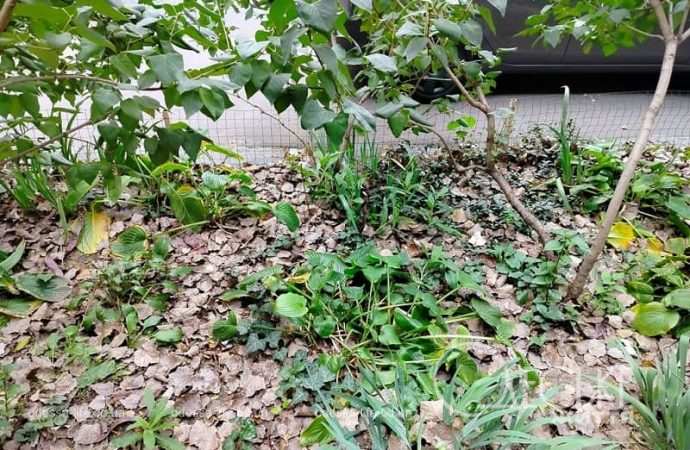 Ноябрь в Одессе