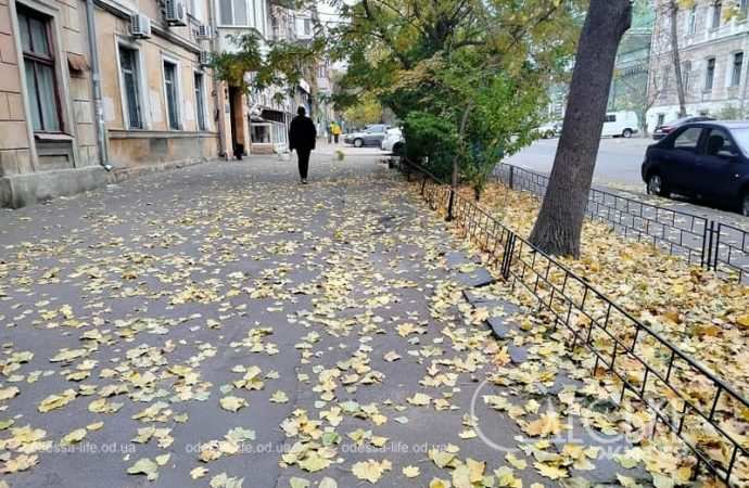 Ноябрь в Одессе, прохожий