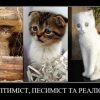 Одесский анекдот на злобу дня: когда уже этот свет дадут?!