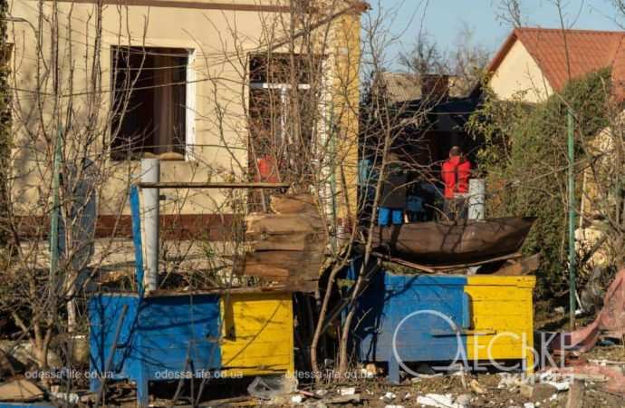 прилеты 17 ноября