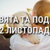 День гуманного общества и любви к веснянкам: что еще празднуют 22 ноября