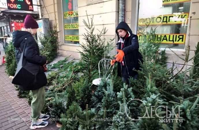 На одесском елочном базаре