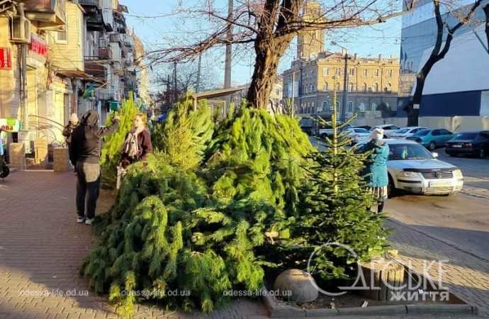 Елочный базар у Привоза в Одессе