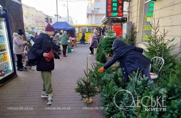 Одесский елочный базар у Привоза