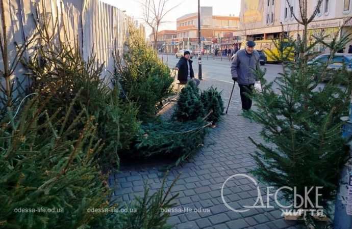 Почем в Одессе новогодние елки