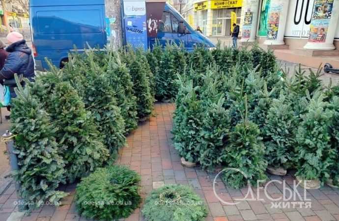 Елочный базар в Одессе