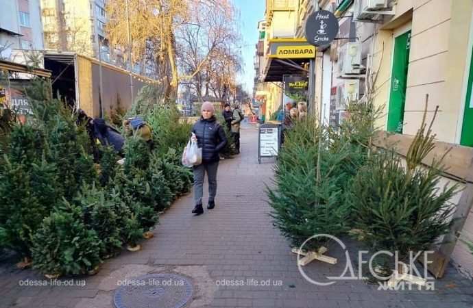 Одесский елочный базар