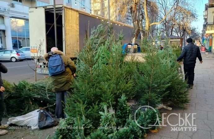 Одесский елочный базар у Привоза