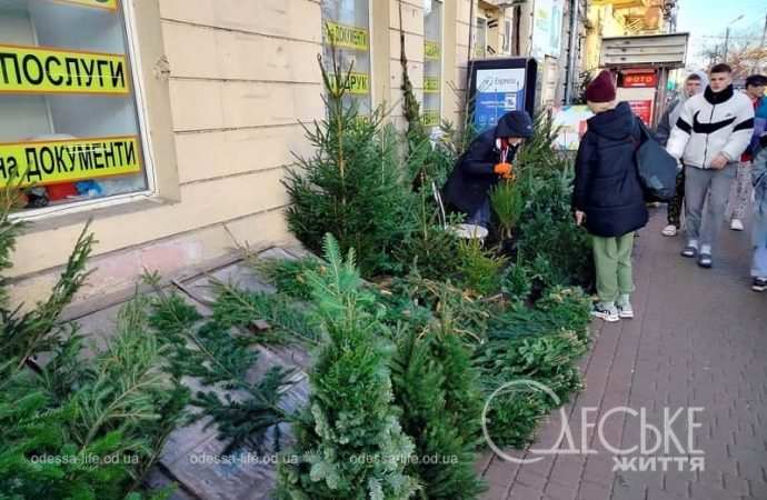 В Одессе продают елки
