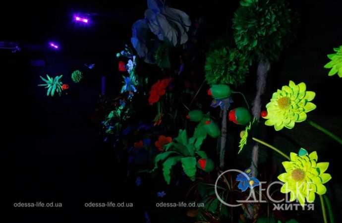 Магический Сад чудес в резиденции святого Николая под Одессой